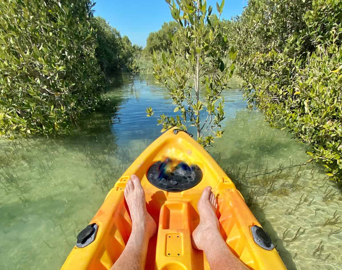 A couple in a boat on a river.